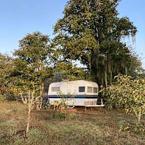 Camper in the apple orchard
