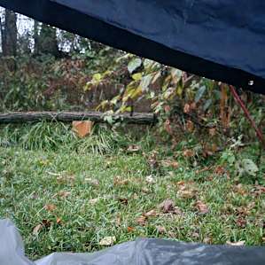 Early morning Veiw from the tarp