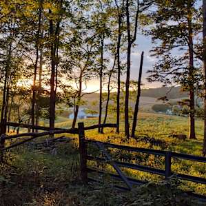 Glen Hill Farm, Near Shenandoah
