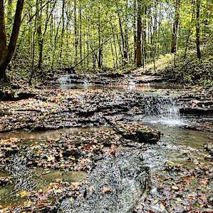 Secluded creekfront