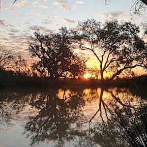 Coolibah Waterhole in Strip Paddock