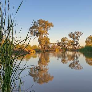 Coolibah Waterhole in Strip Paddock