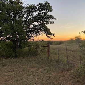 Camp 209