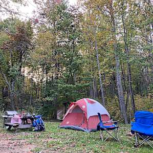 Site 6(our site)