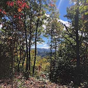 Off grid mountain sanctuary 100+ac