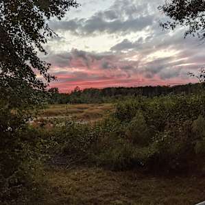 Wooded Camping & Stocked Pond
