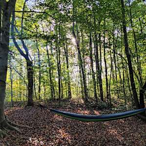Camp Site 6