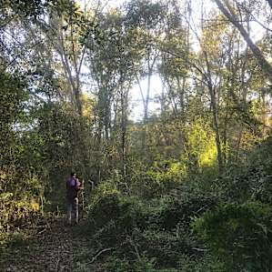 Beautiful walk through the woods!