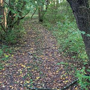 Angel Creek