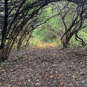 Angel Creek