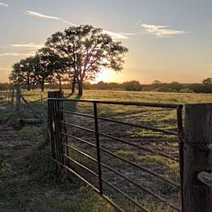Coyote Creek Farm -Tent Camping