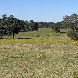 Coyote Creek Farm -Tent Camping