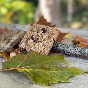 Pats delicious granola bars
