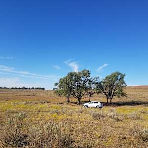 Historic Remote Lone Mound Ranch