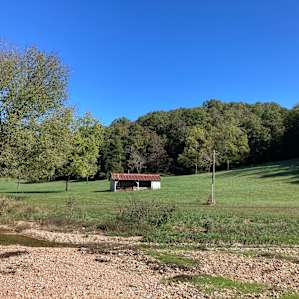Peaceful Pine Mountain