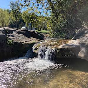 Peaceful Pine Mountain
