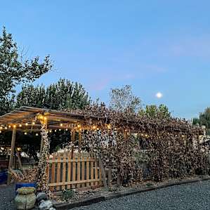 Walla Walla's Lavender Farm