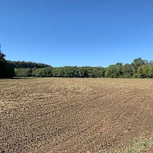 The Slab By The Barren