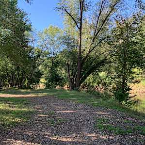 Some of the campsites by the creek