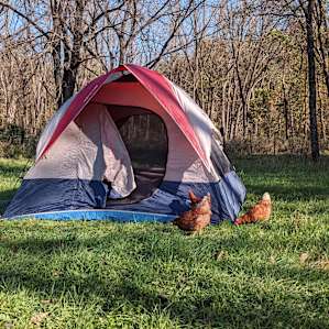 Driftless Area Rolling Hills