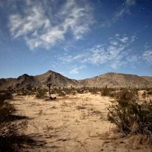Large Desert with a Gorgeous View!