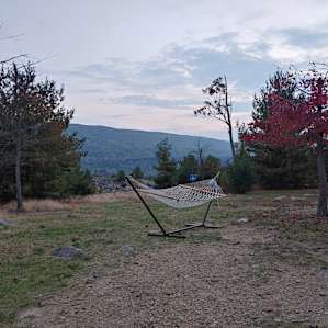 Beautiful view