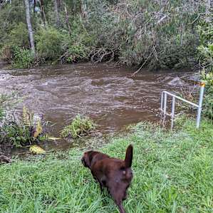 Testing the waters. High water level as the stairs were submerged.