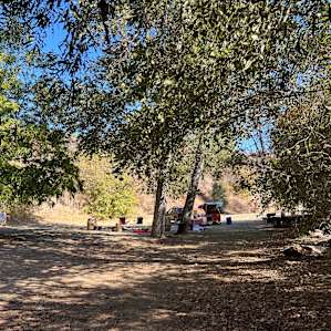 Camp Dirt