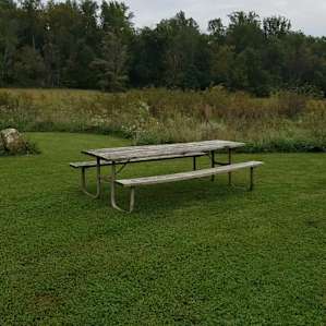 Meadow Land