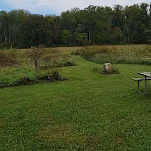 Meadow Land