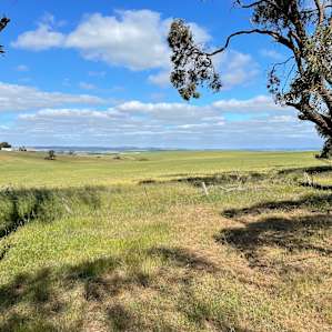 Camping Sites-Wildlife Haven