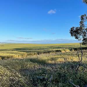 Camping Sites-Wildlife Haven