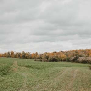 The driveway in is only the beginning of this spectacular property with rolling hills and beautiful sights.