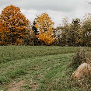 The path from where you park your car is a peaceful walk and simple to navigate.