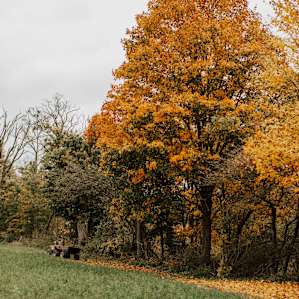 The colours were mesmerizing in. this warm October.