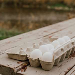 Eggs right from the hens!