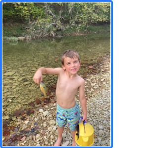 Excellent wade and fly fishing - panfish, rockbass, smallmouth, spots and largemouth.