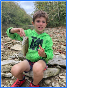 Excellent wade and fly fishing - panfish, rockbass, smallmouth, spots and largemouth.