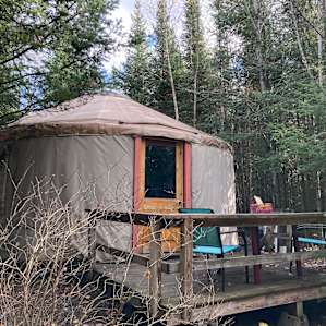 Tall Pines Wilderness Rustic Yurt