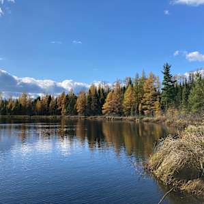 Tall Pines Wilderness Rustic Yurt