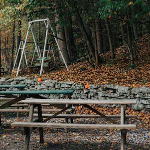 More swings and picnic tables available for use