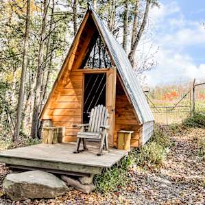 Woodsy Camp Tiny House