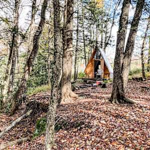 Woodsy Camp Tiny House