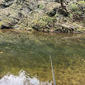 The honey hole
