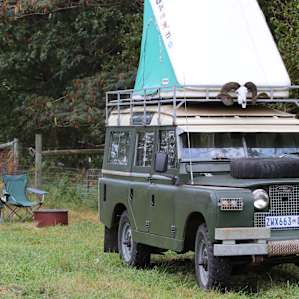 Sheep Safari in Classic Land Rover