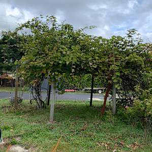 Crescent City RV Space (Private)