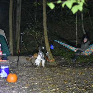 Holland Creek Camp