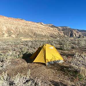 Palisade Vista