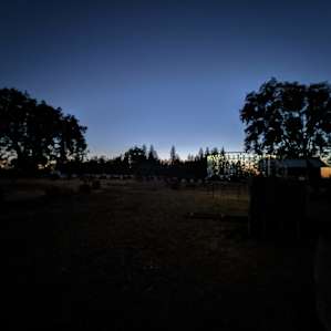 Twilight in the garden