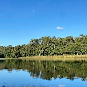 Lakeside Paradise & Great Sunsets